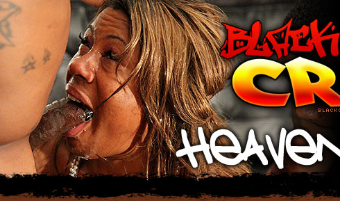 Heaven Blaze Destroyed On Black On Black Crime